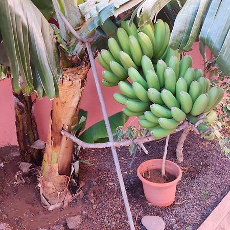 San Sebastián de la Gomera Casita La Gomera מראה חיצוני תמונה
