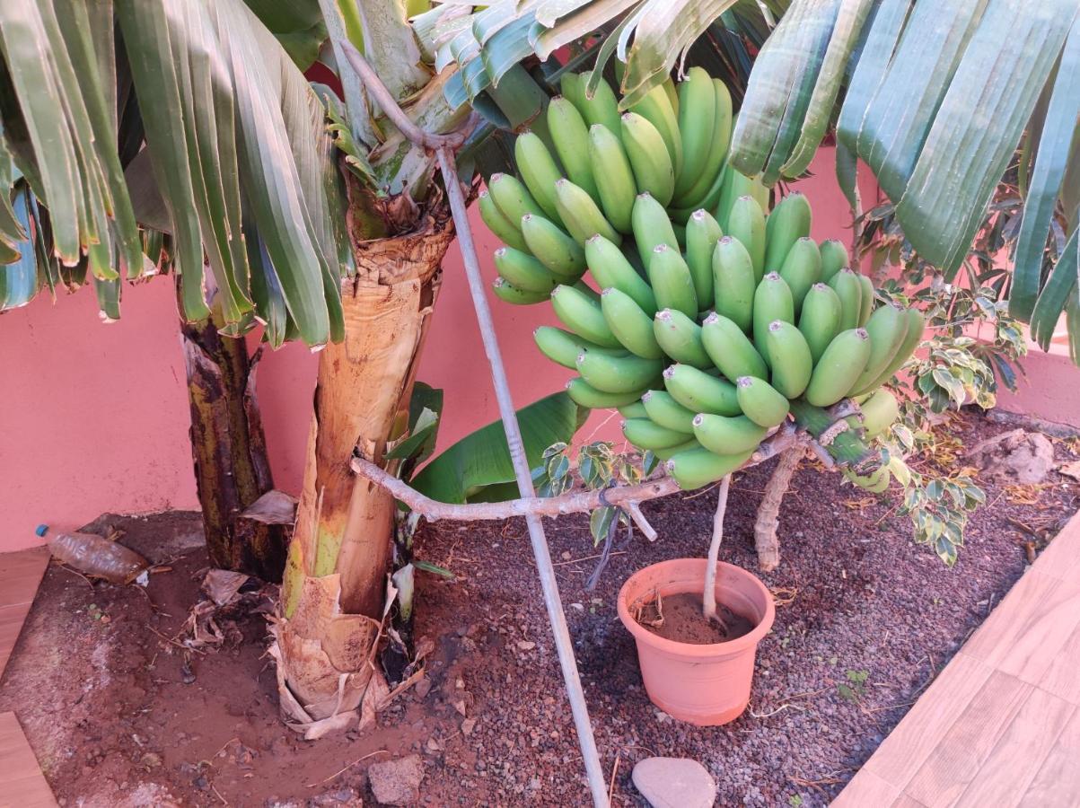 San Sebastián de la Gomera Casita La Gomera מראה חיצוני תמונה